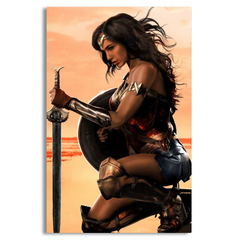 Wonder Woman Canvas Frames Wall Art