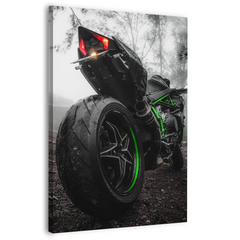 BANT Kawasaki Ninja H2R Canvas Frames Wall Art