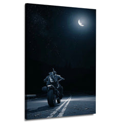 Bike Rider on Moony Night | Wall Art