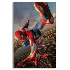 The Amazing SpiderMan Canvas Frames Wall Art