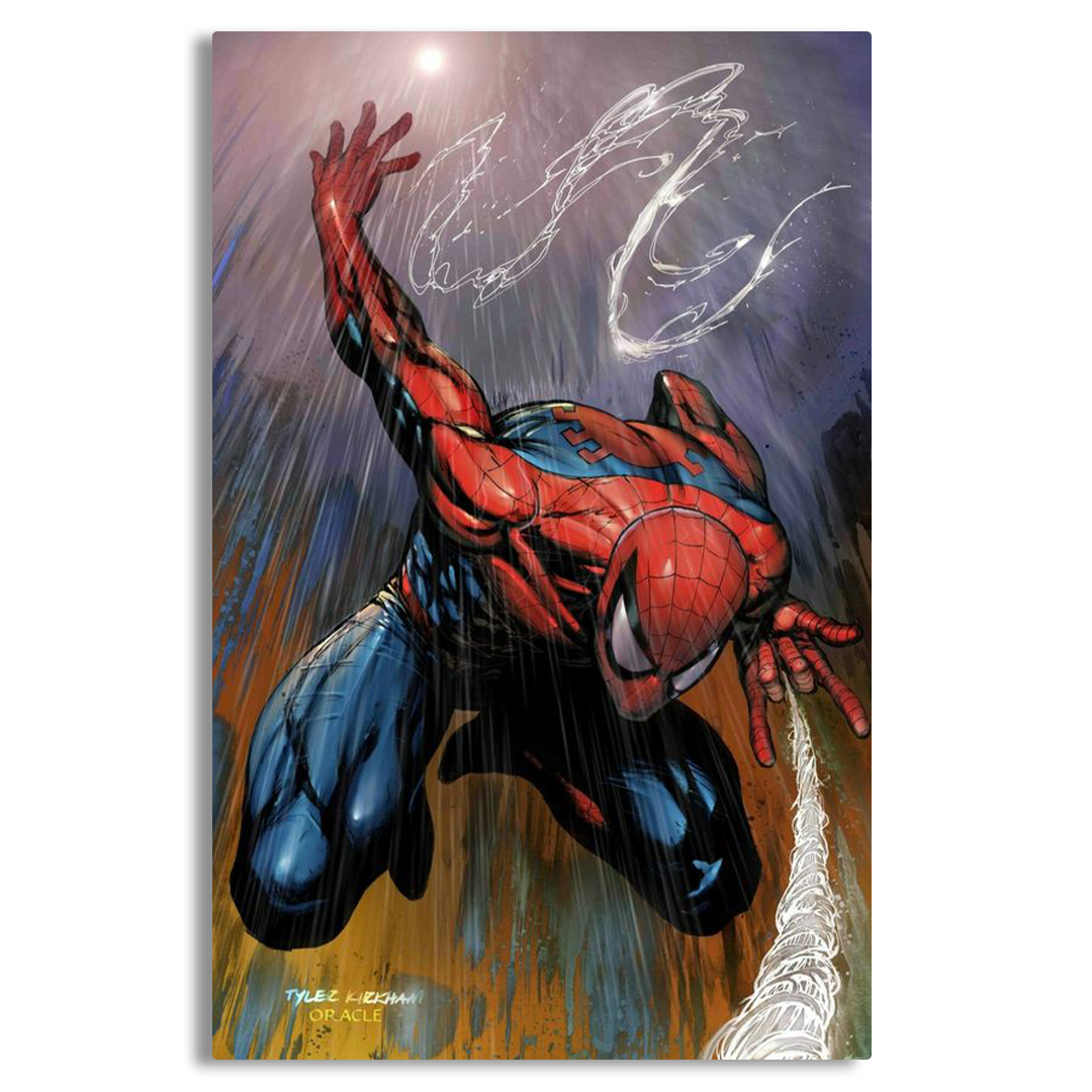 SpiderMan Artwork Canvas Frames Wall Art