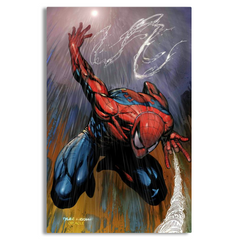 SpiderMan Artwork Canvas Frames Wall Art