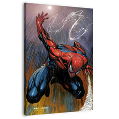 SpiderMan Artwork Canvas Frames Wall Art