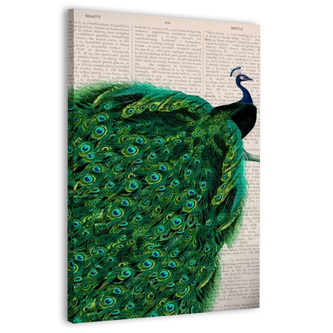 Beautiful Peacock With Endless Tail Wall Art