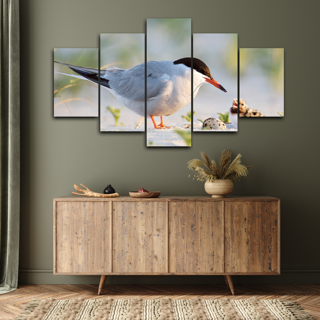 Beautiful Bird Wildlife Canvas Farmes (5panel) | Wall Art