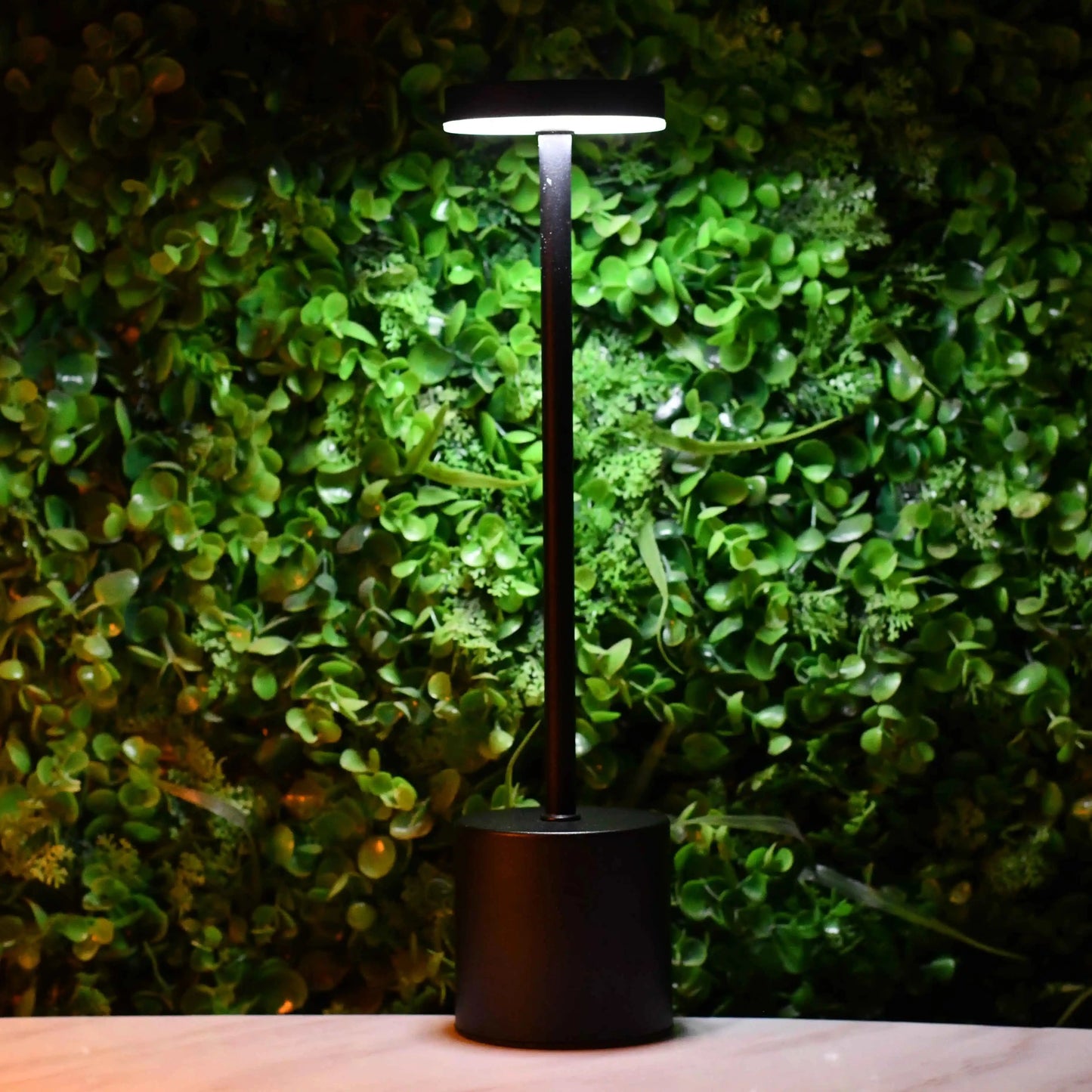 Rechargeable Matel Desk Lamps