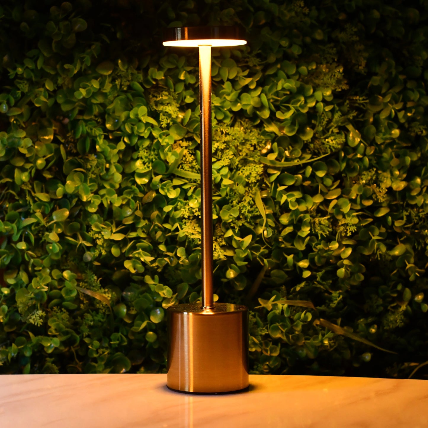 Rechargeable Matel Desk Lamps
