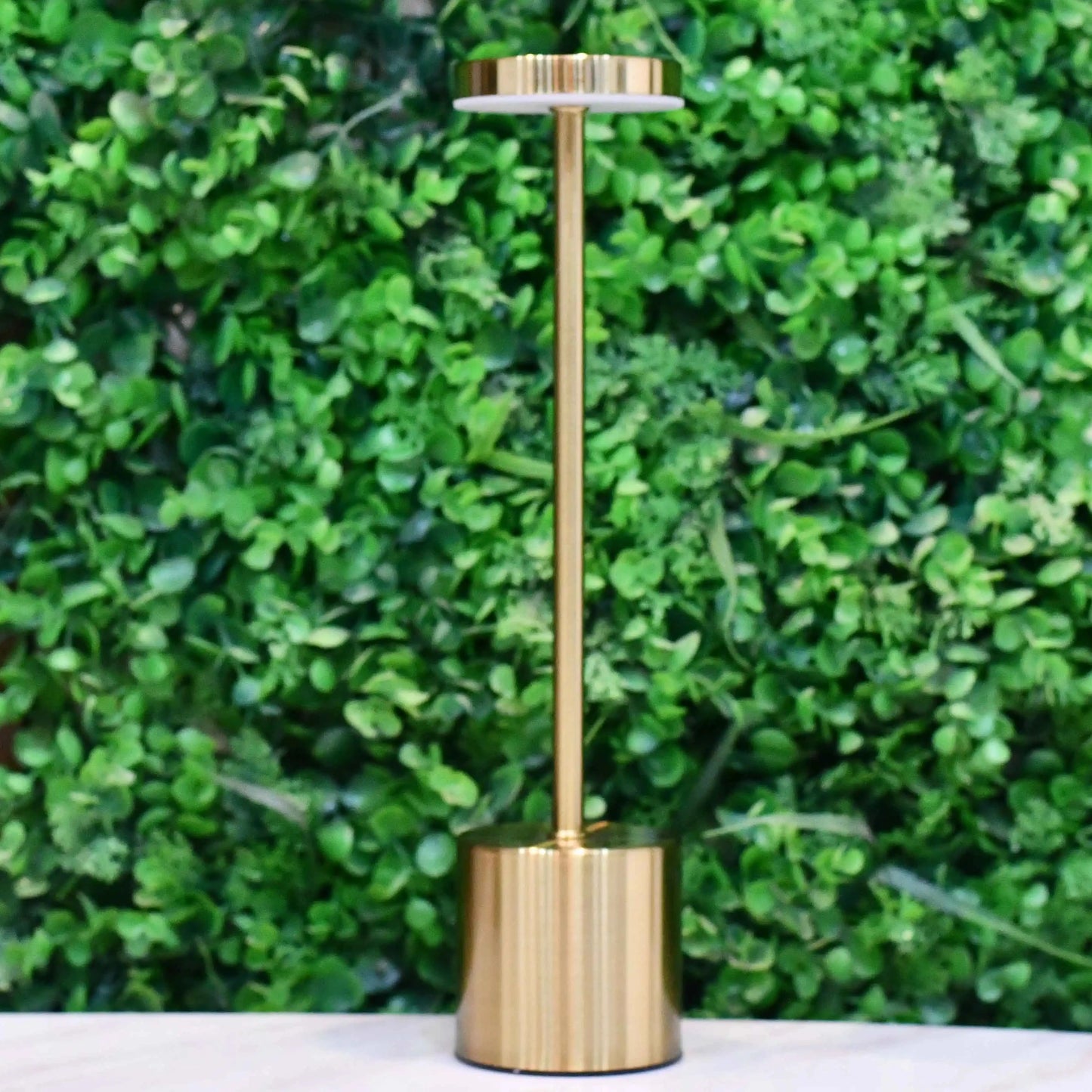 Rechargeable Matel Desk Lamps