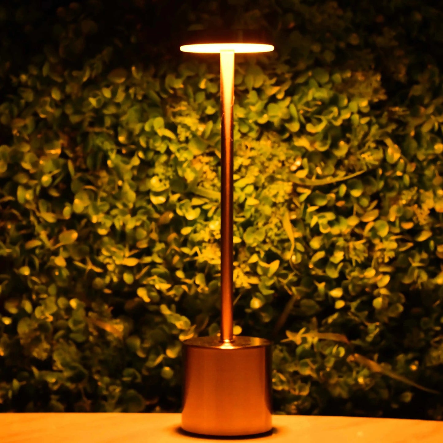 Rechargeable Matel Desk Lamps