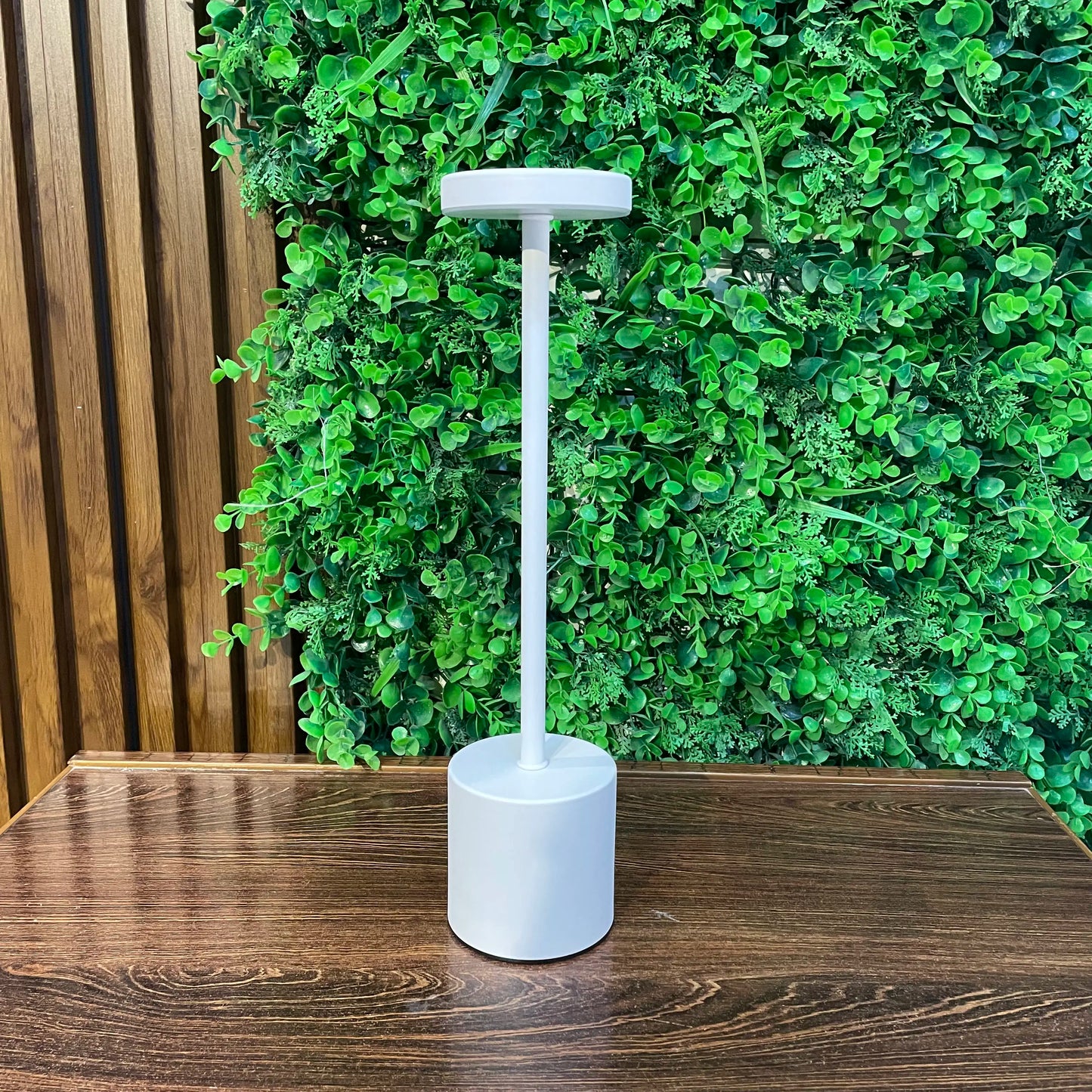Rechargeable Matel Desk Lamps