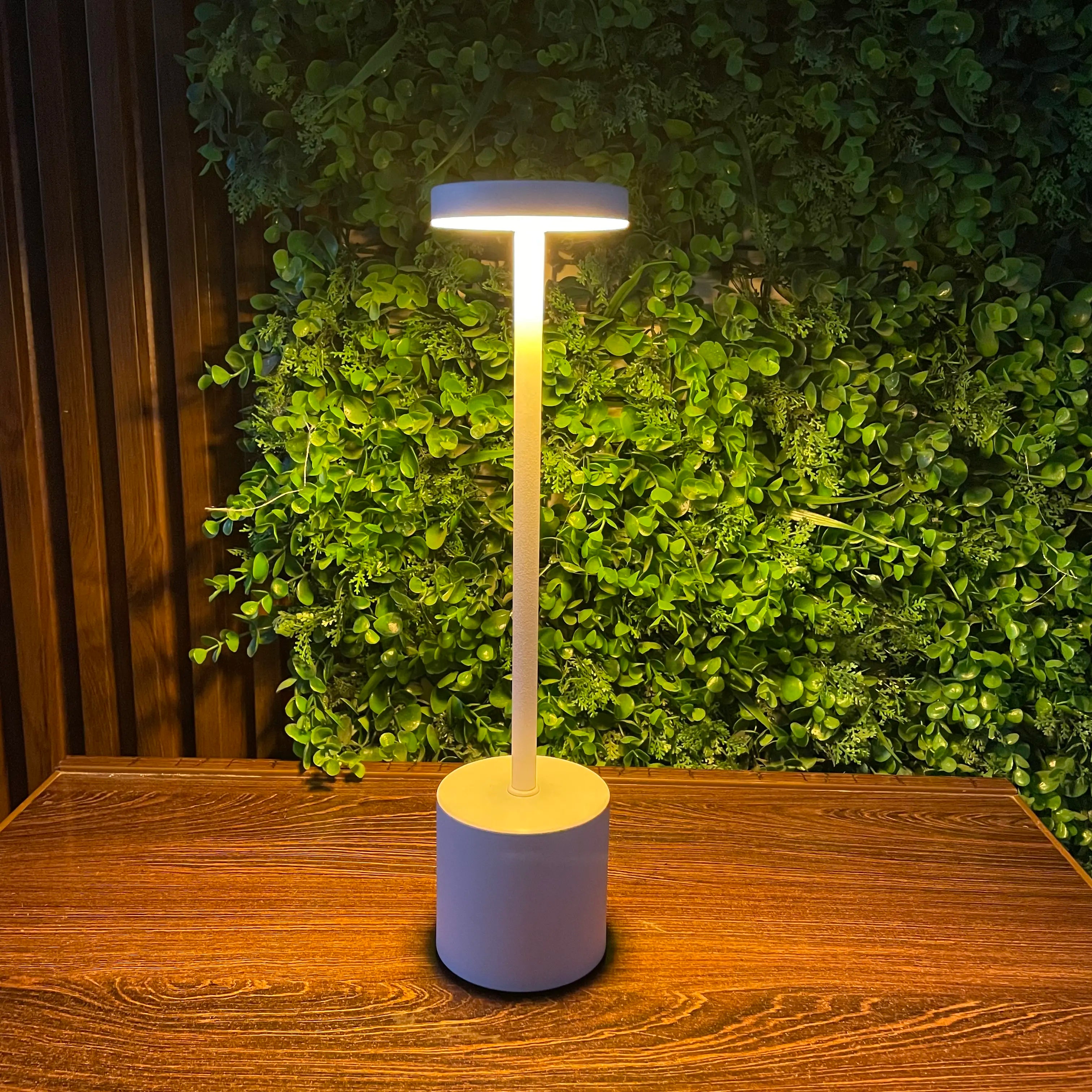 Rechargeable Matel Desk Lamps