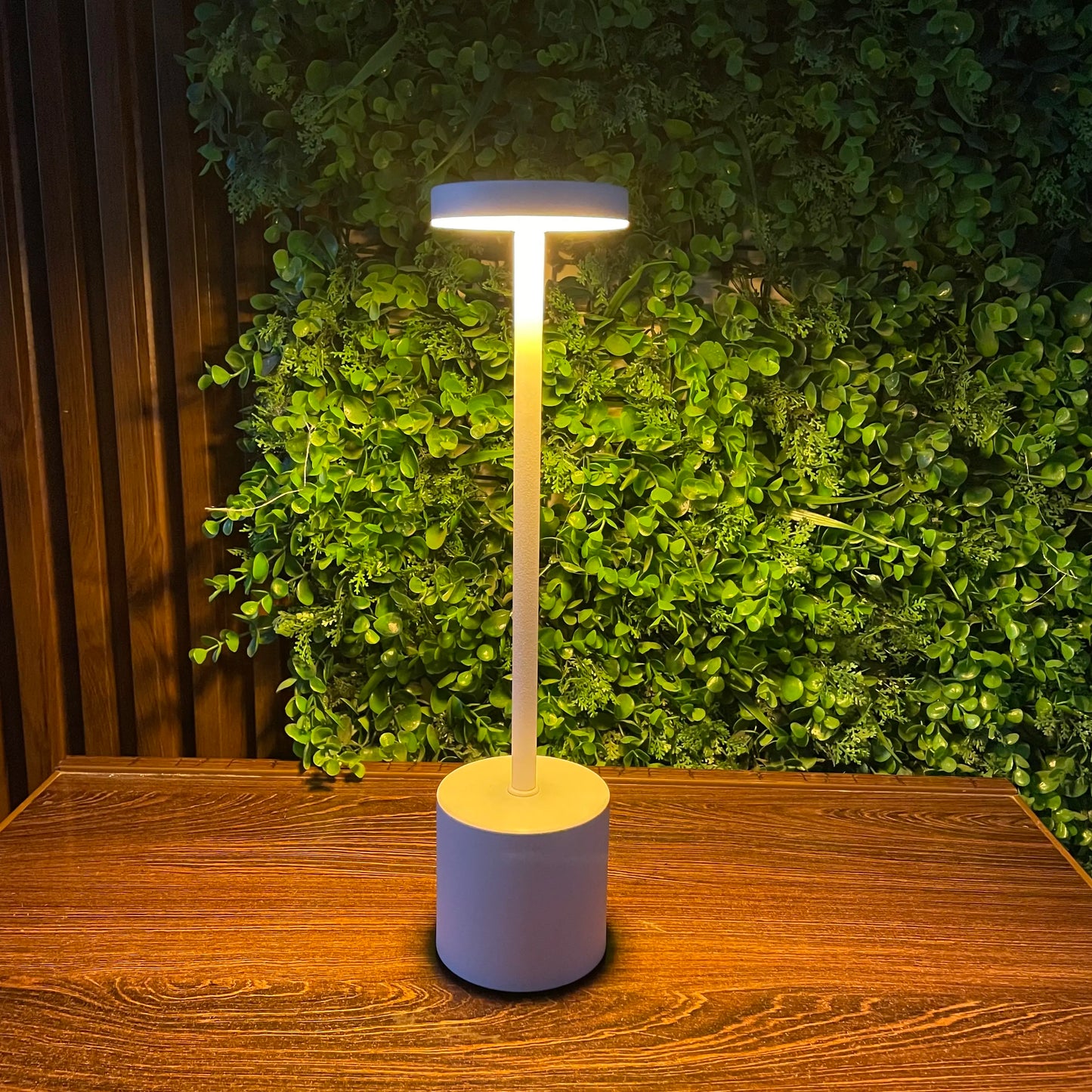 Rechargeable Matel Desk Lamps