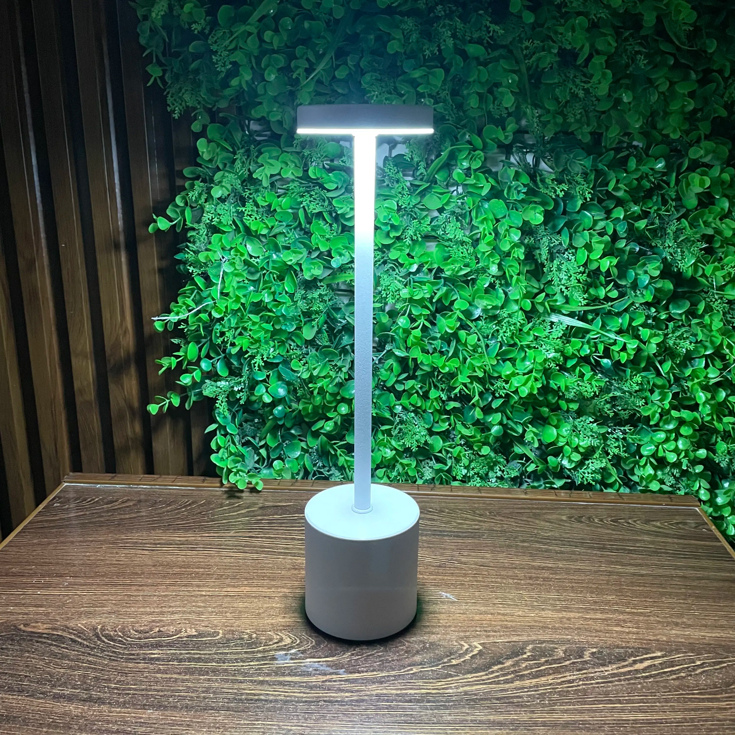 Rechargeable Matel Desk Lamps