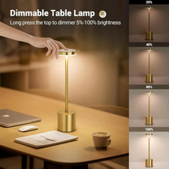 Rechargeable Matel Desk Lamps