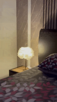 F Lamps