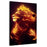 Lion with mane made of fire | Wall Art