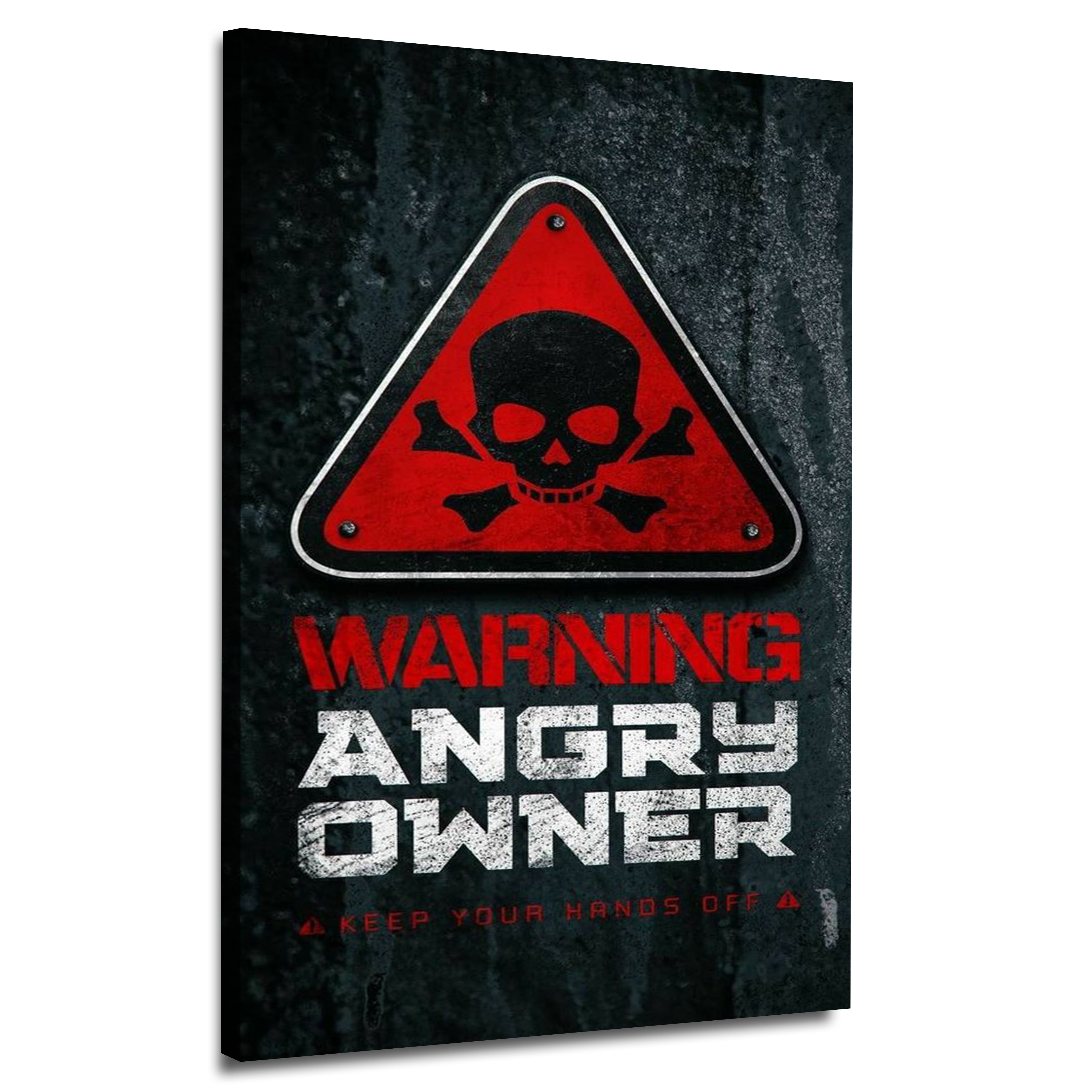 Angry Owner | Wall Art