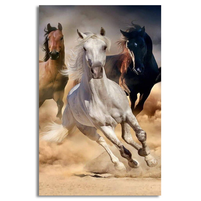 Beautiful Arabians Horse | Wall Art