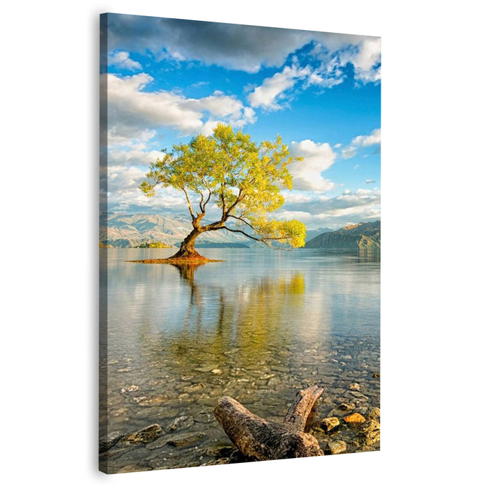 Landscape Scenery Tree Lake Wall Art