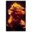 Lion with mane made of fire | Wall Art