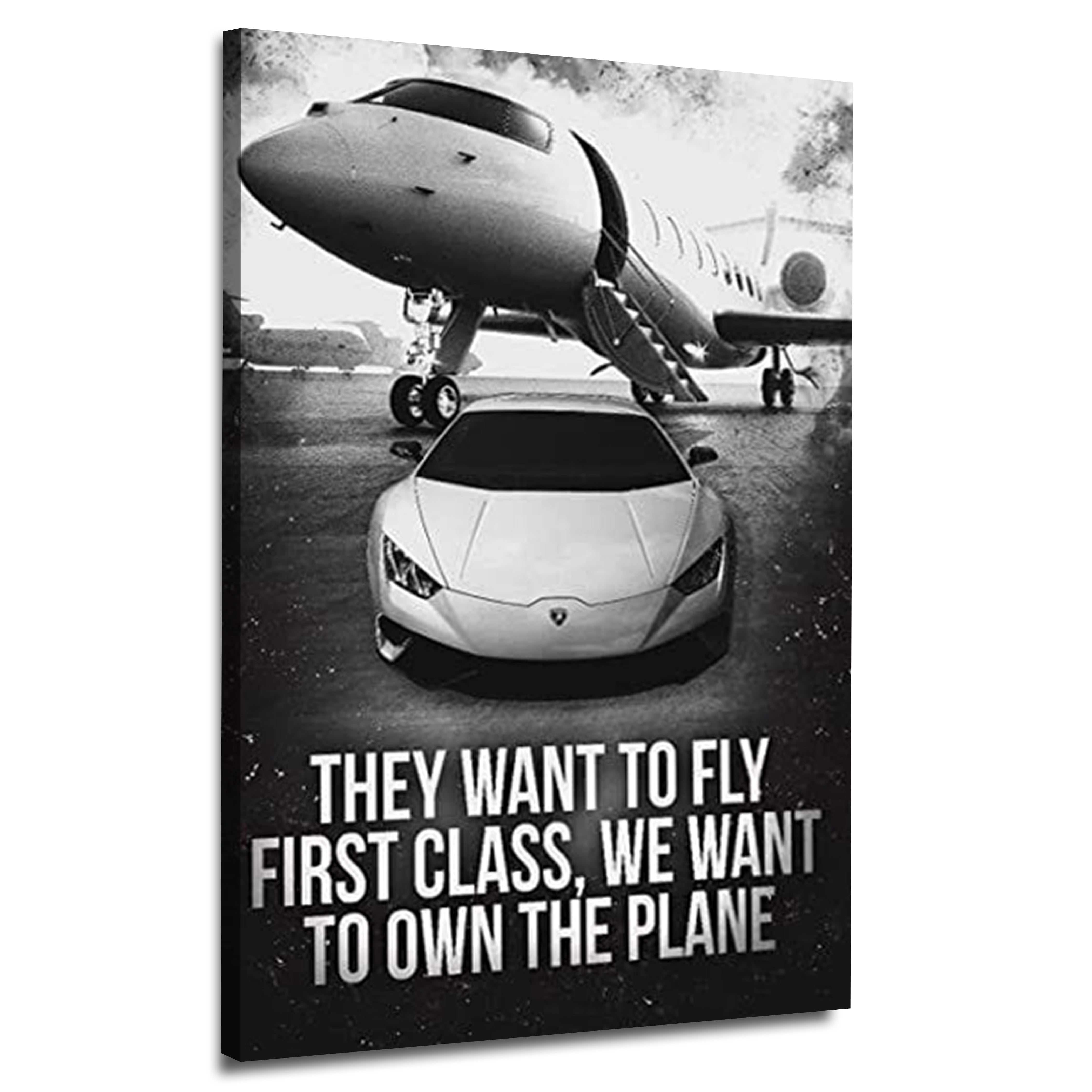 Own the Plane Canvas | Wall Art